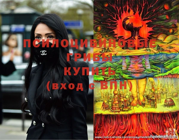 молекула духа Горняк