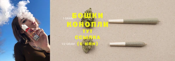 гидропоника Горнозаводск