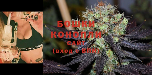 молекула духа Горняк