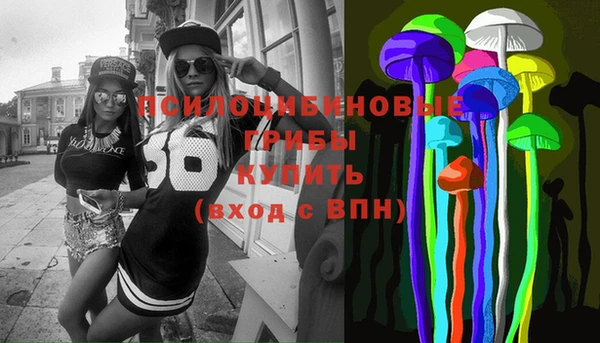 гидропоника Горнозаводск