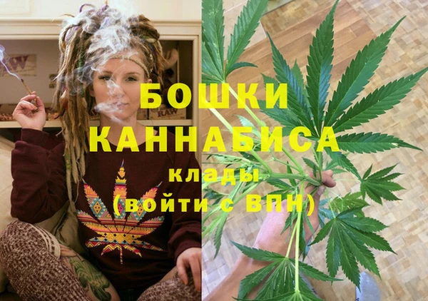 гидропоника Горнозаводск
