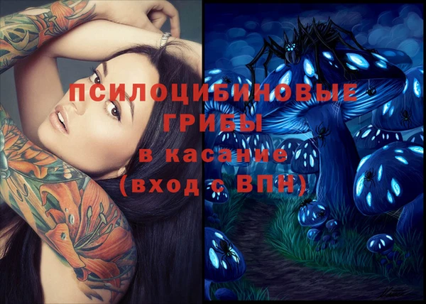 молекула духа Горняк